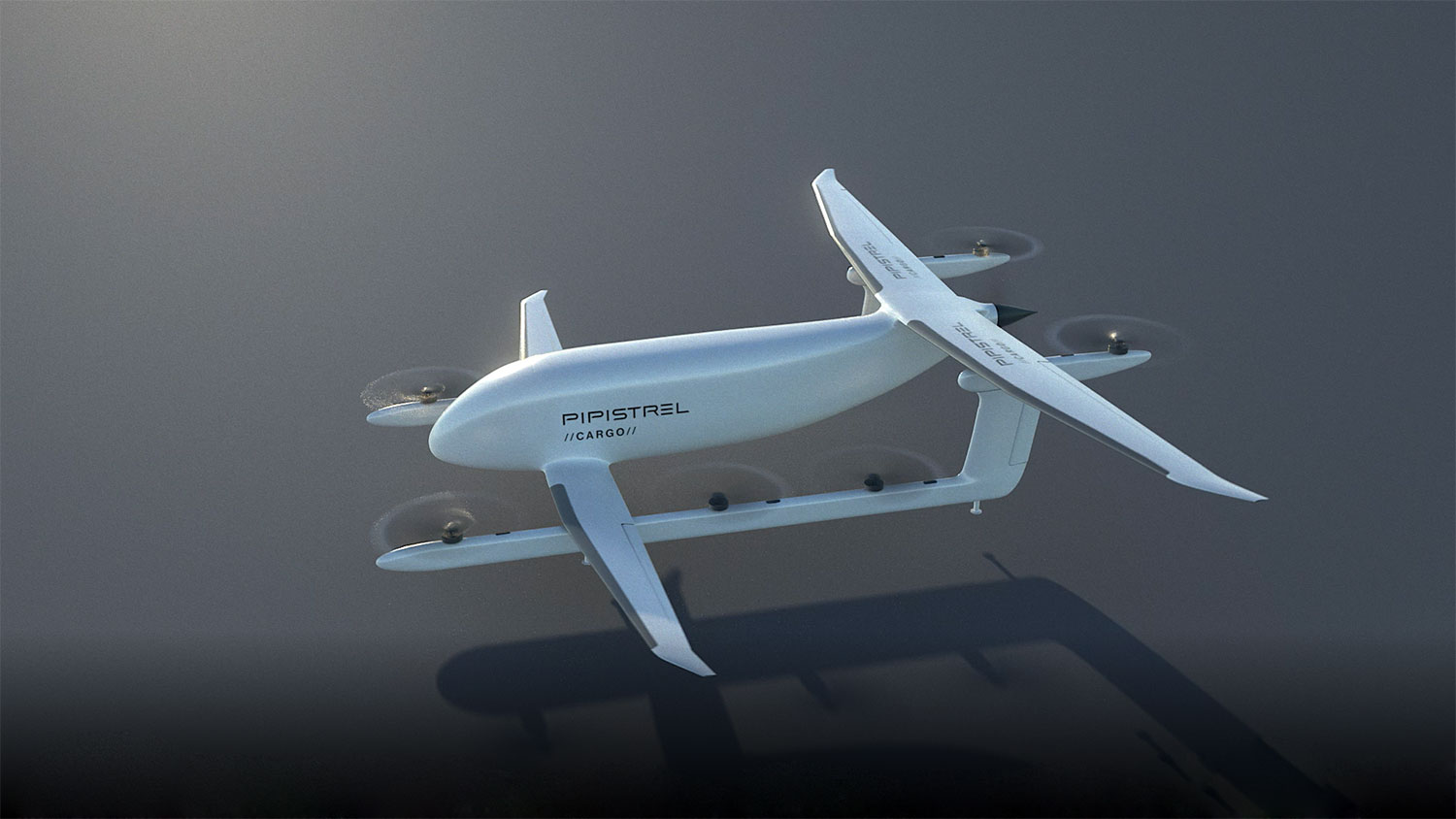 Pipistrel - NUUVA-V300